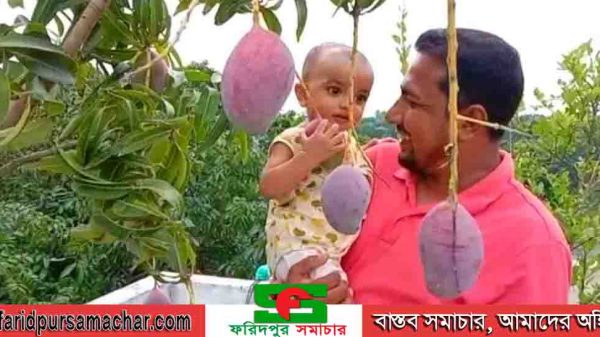 অবসর সময় কাটাচ্ছেন ছাদ কৃষিকাজ নিয়ে ব্যস্ততা প্রবাস ফেরত সুমন মোল‍্যা