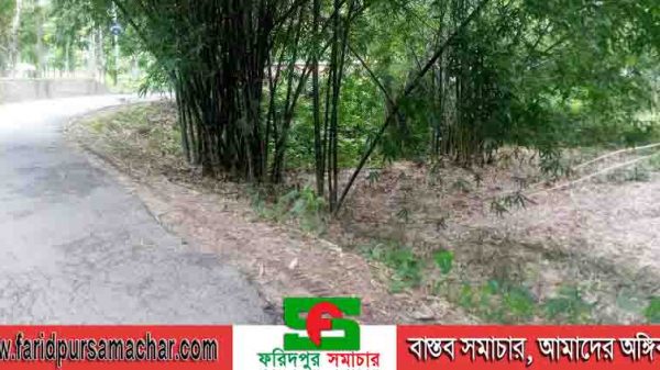 আলফাডাঙ্গার শিরগ্রামে আঁকা বাঁকা রাস্তা থাকায় বাড়ছে দুর্ঘটনা