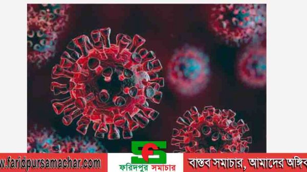 চরভদ্রাসনে মানছে না কেউ স্বাস্থ্যবিধি