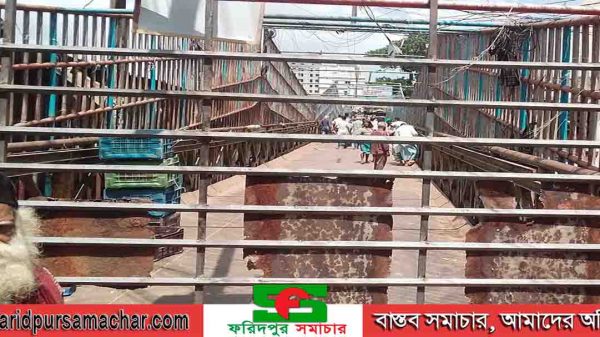 ফরিদপুরে বন্ধ করে দেয়া হলো আলিমুজ্জামান বেইলি সেতু