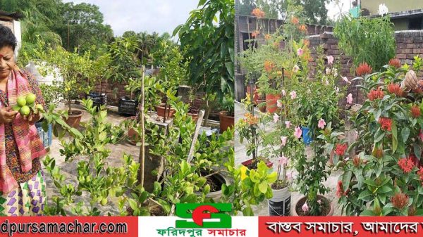এ্যাডভোকেট শিপ্রা গোস্বামী জানেন ছাদ বাগানেরও আইন-কানুন