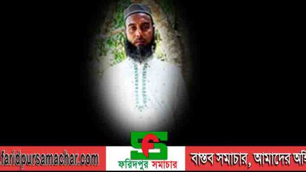 চরভদ্রাসনে বিদ্যুৎস্পৃষ্টে এক ব্যাক্তির মৃত্যু