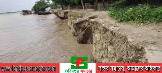 পদ্মার পানি বাড়ায় চরভদ্রাসনে আবার নদী ভাঙ্গন