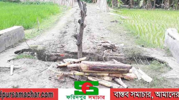 সালথায় কামাই‌দিয়া রাস্তার বেহাল দশা ভোগা‌ন্তি‌তে হাজারও মানুষ