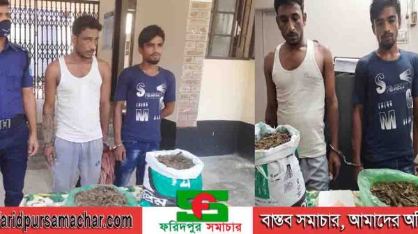 সালথায় ২ কে‌জি গাঁজা ও ইয়াবাসহ দুই মাদক ব‌্যবসায়ী আটক