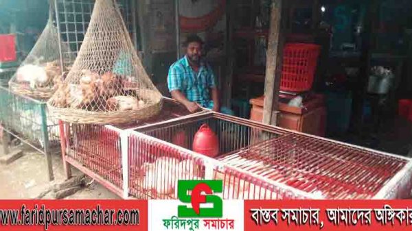 ফরিদপুরে হঠাৎ করে বাড়ছে বিভিন্ন ধরনের মুরগির দাম
