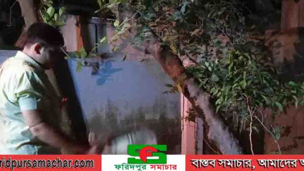 ফরিদপুরে বেল পূজার মধ্য দিয়ে ৫ দিন ব্যাপী শারদীয় দুর্গাপূজা উৎসব শুরু