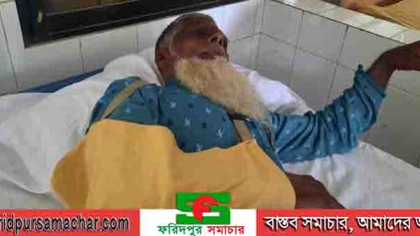 আলফাডাঙ্গায় তুচ্ছ ঘটনাকে কেন্দ্র করে প্রতিপক্ষের হামলায় আহত ২