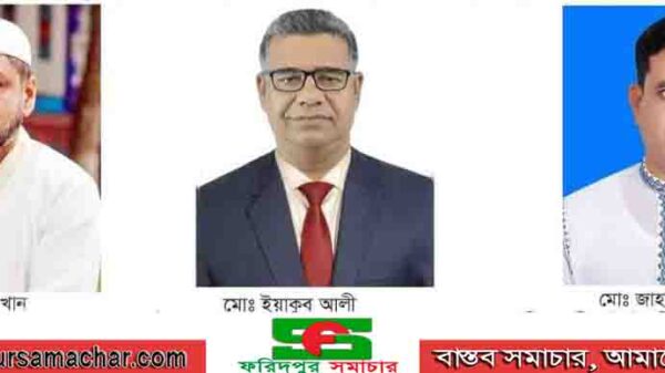 চরভদ্রাসন ইউপি নির্বাচনে তিন স্বতন্ত্র প্রার্থী নির্বাচিত