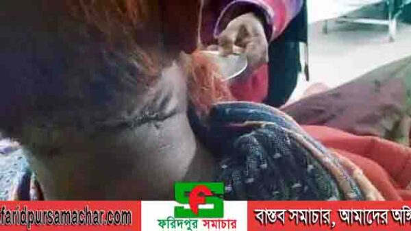 দিনাজপুর বিরলে জমি-জমার বিরোধকে কেন্দ্র করে হত্যার চেষ্টা