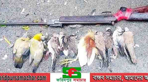 এয়ারগান ব্যবহার ও বহন নিষিদ্ধ