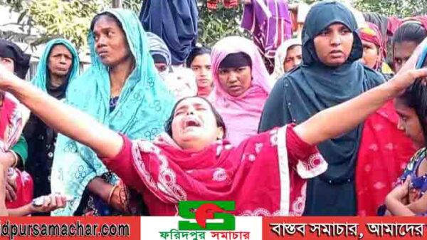 সালথায় আ‌ধিপত‌্য বিস্তার নি‌য়ে বৃদ্ধ খুন হামলা ভাংচুর লুটপাট