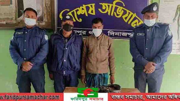 দিনাজপুর বিরামপুর থানা পুলিশের বিশেষ অভিযানে গাঁজা ও ফেন্সিডিলসহ গ্রেফতার ১ 