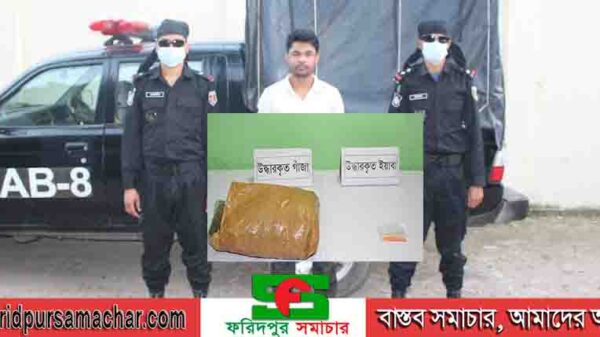 ফরিদপুরে রেপিড অ্যাকশন ব্যাটেলিয়ান ৮ ‌ এর সদস্যদের হাতে সালথায় মাদকদ্রব্যসহ ১ জন গ্রেফতার