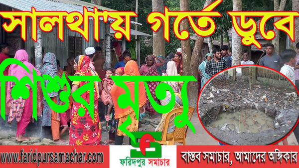 সালথা'য় গর্তে ডুবে শিশুর মৃত্যু