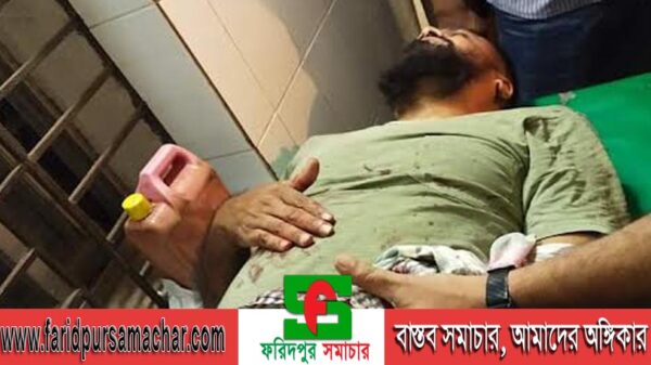 বাড়িতে ফেরার পথে স্বেচ্ছাসেবক লীগ নেতাকে কুপিয়ে জখম