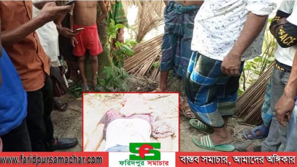 সালথায় নছিমনের নিয়ন্ত্রন হারিয়ে যুবকের মৃত্যু