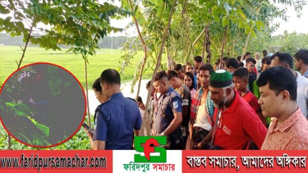 ফরিদপুরে রাস্তার খাদে পড়ে ছিল অজ্ঞাত যুবকের গলাকাটা মরদেহ