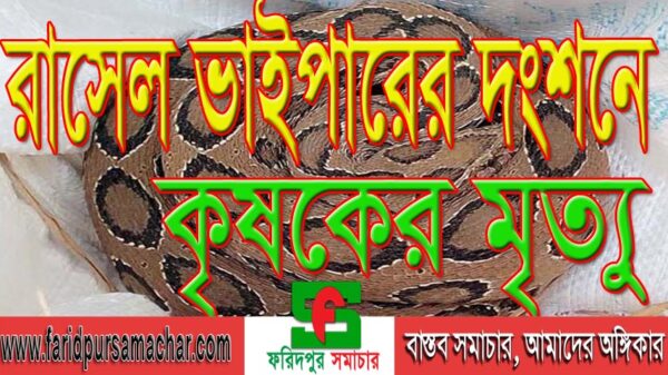 চরভদ্রাসনে রাসেল ভাইপারের দংশনে কৃষকের মৃত্যু