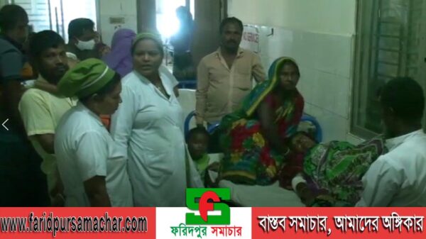 ফরিদপুরে কুমিরের কামড়ে গৃহবধু আহত