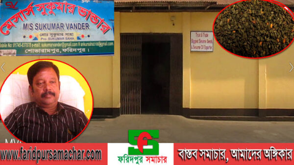 ফরিদপুরে তিল চাষে বিষেশ অবদান রাখছেন সুকুমার ভান্ডার