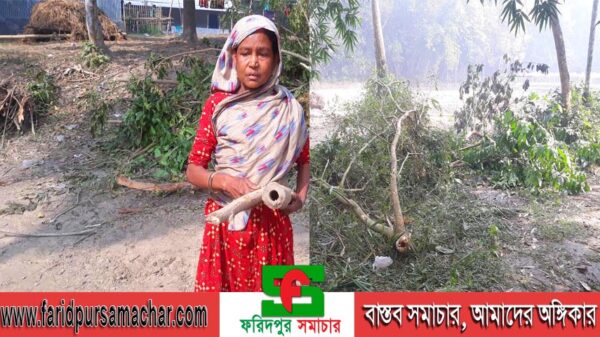 সালথায় বৃদ্ধ মহিলাকে মারধর করায় থানায় অভিযোগ