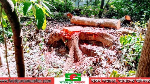 নগরকান্দায় পুত্র বধূদের ষড়যন্ত্রের শিকার শাশুড়ী- বাড়ী ছাড়া