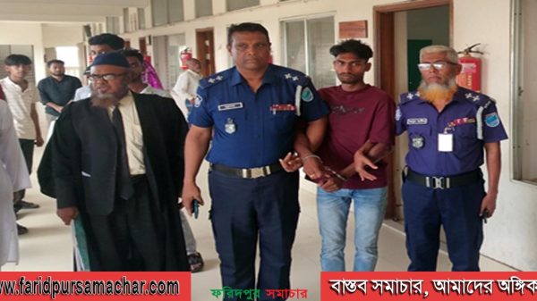 ফরিদপুরে যৌতুকের দাবিতে স্ত্রী হত্যা, স্বামীর আমৃত্যু কারাদণ্ড
